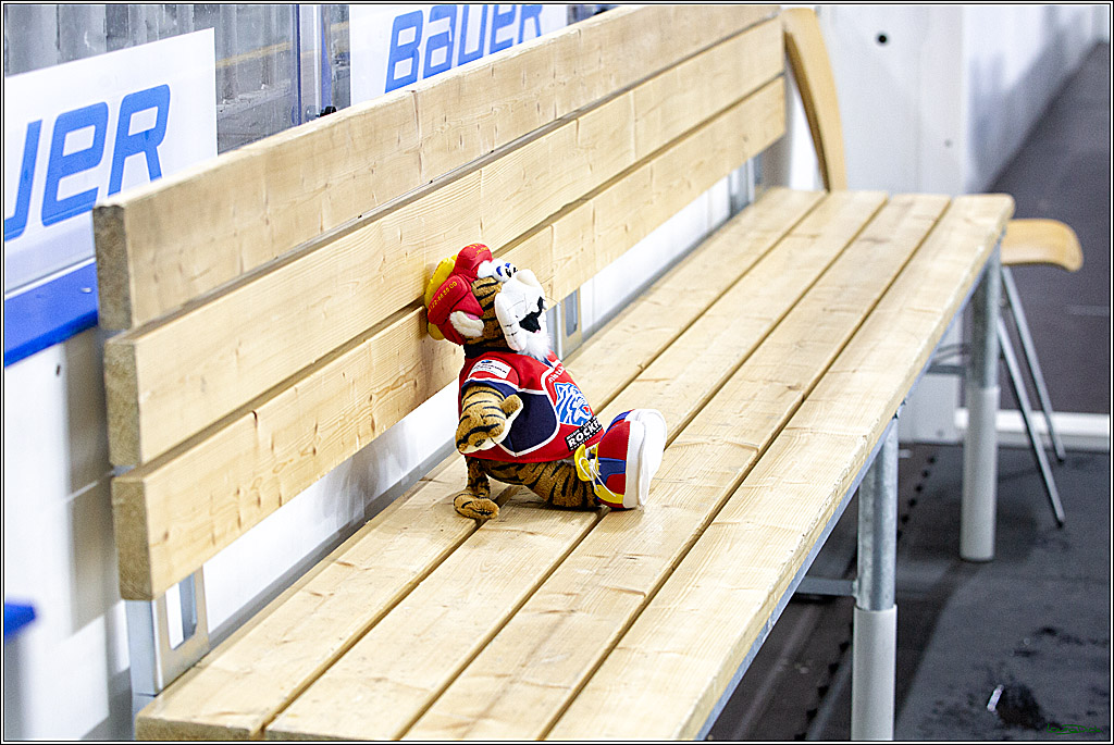 PENNY DEL;  Koelner Haie - Nuernberger Ice Tigers; Koeln, 25.03.2021